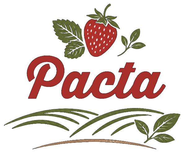Pacta Srl. Logo